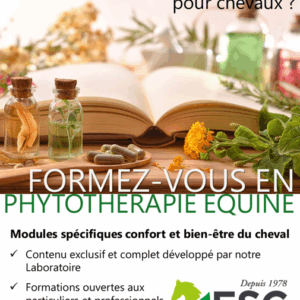 Formation en phytothérapie équine