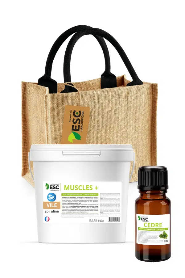 bag ESC