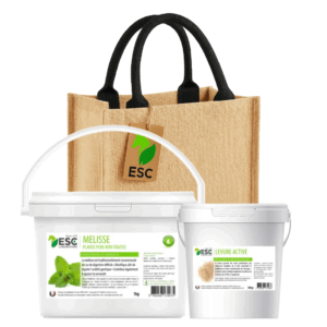 BAG CADEAU D'OCTOBRE - Spécial Digestion