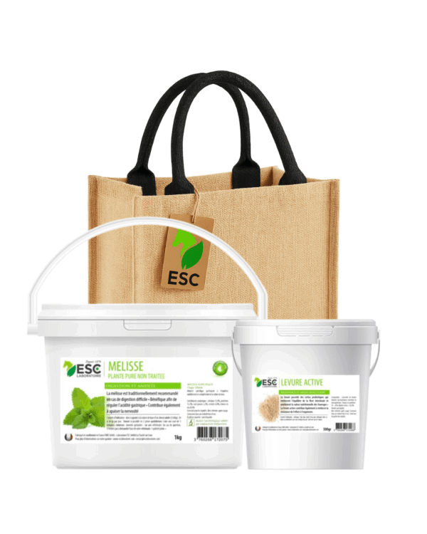 BAG CADEAU D'OCTOBRE - Spécial Digestion