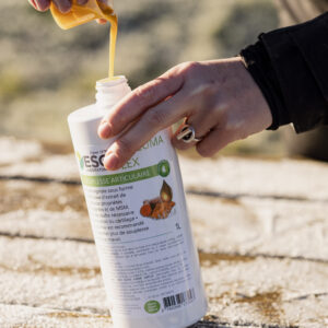 BAG DE FÉVRIER – Spécial retour au travail