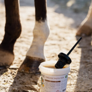 Bag de Janvier – Spécial soin des pieds