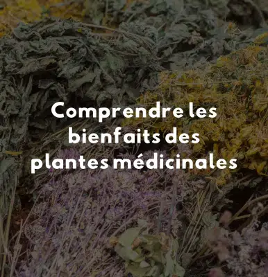 comprendre bienfaits plantes