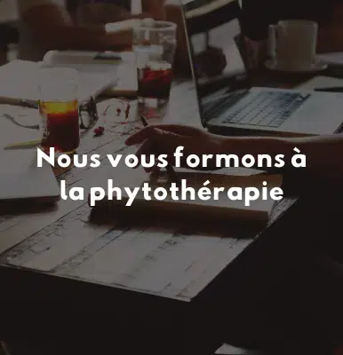 formation phytothérapie équine