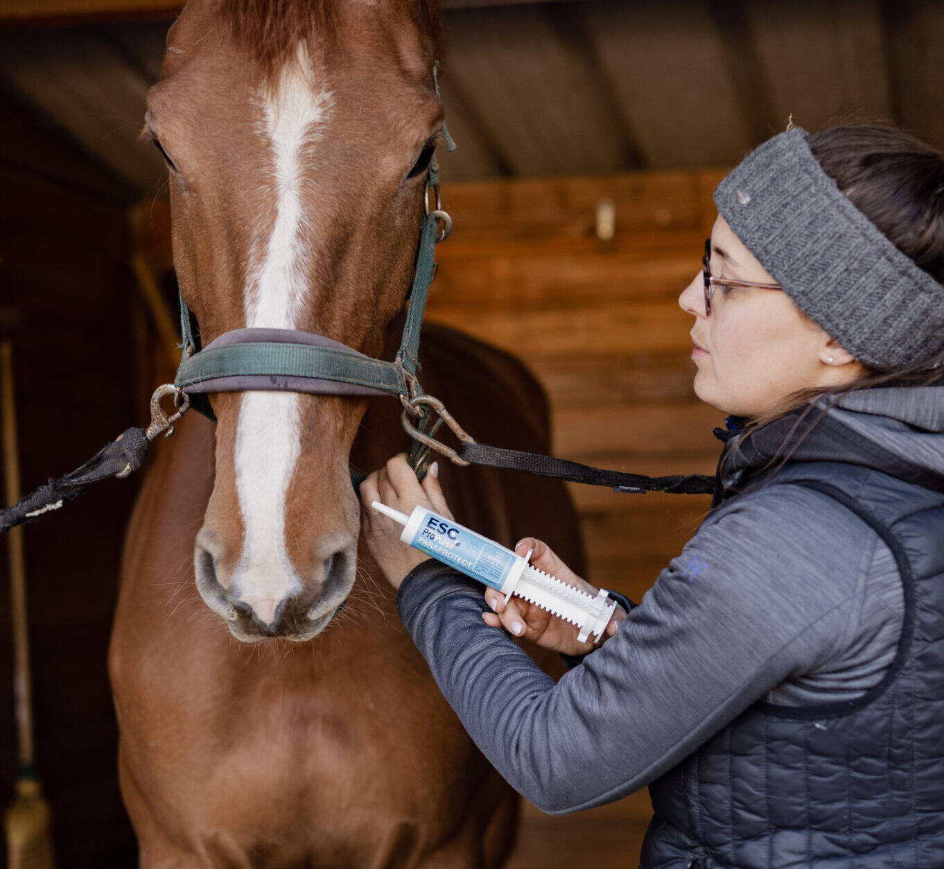 Lire la suite à propos de l’article Vermifuger son cheval tous les 3 mois : un automatisme devenu dangereux ?