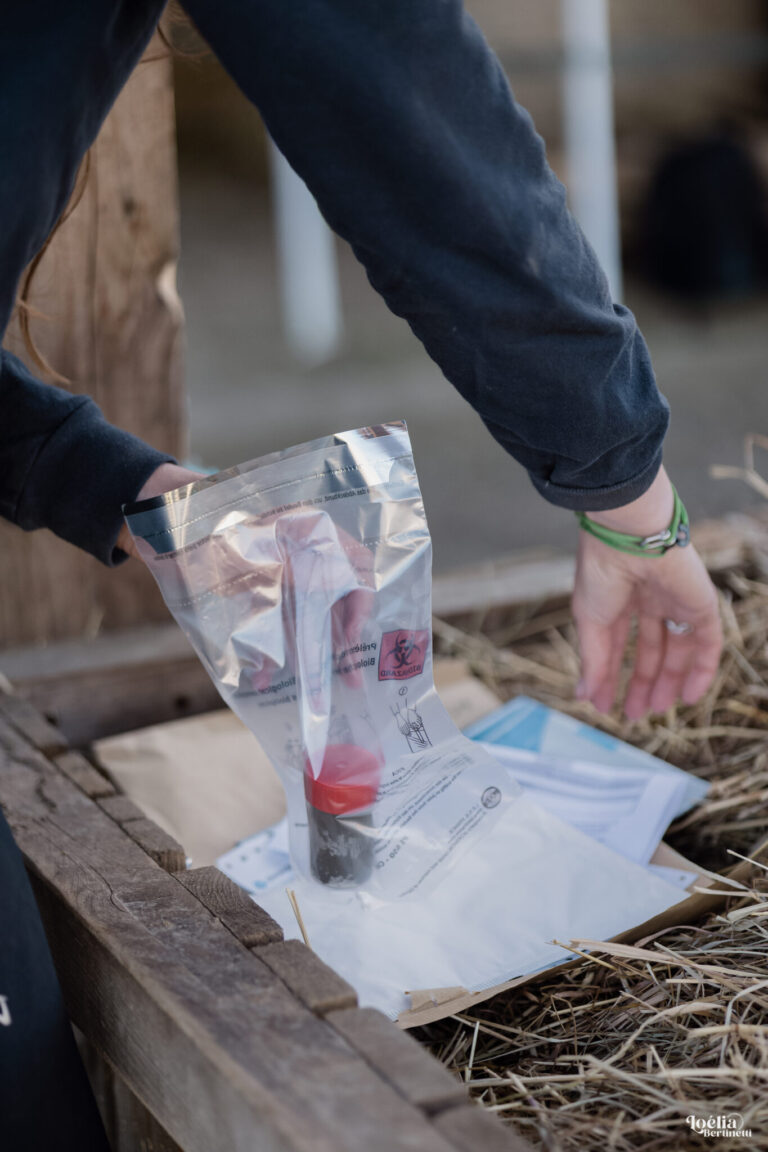 comment envoyer un kit coproscopie cheval ?