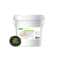 Lysine - ESC Laboratoire