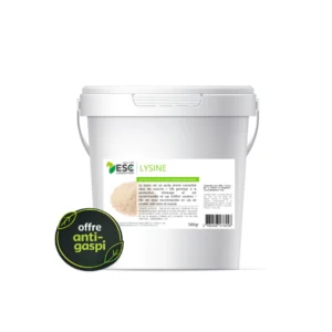 LYSINE + – OFFRE ANTI-GASPI – Soutien de l’effort et développement musculaire
