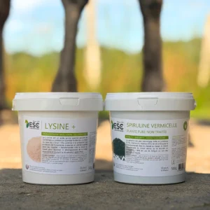 LAMOTTE SPECIAL PACK – Booster