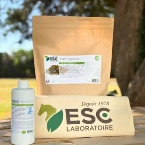 BAG DE JUILLET – Spécial fortes chaleurs