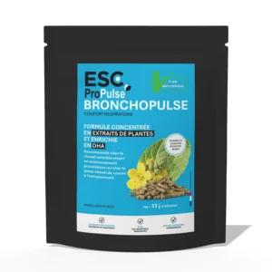 BRONCHOPULSE – Confort respiratoire du cheval