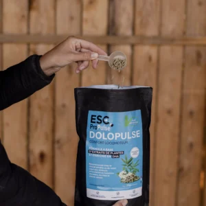 DOLOPULSE – Musculoskeletal comfort horse